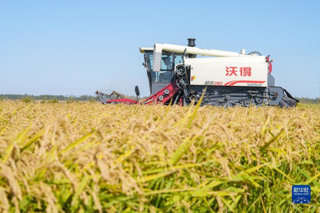 奔驰宝马游戏单机免费